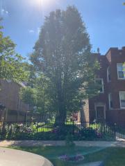 736 N SPRINGFIELD AVE, Chicago, IL