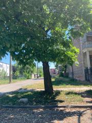 4415 W GLADYS AVE, Chicago, IL