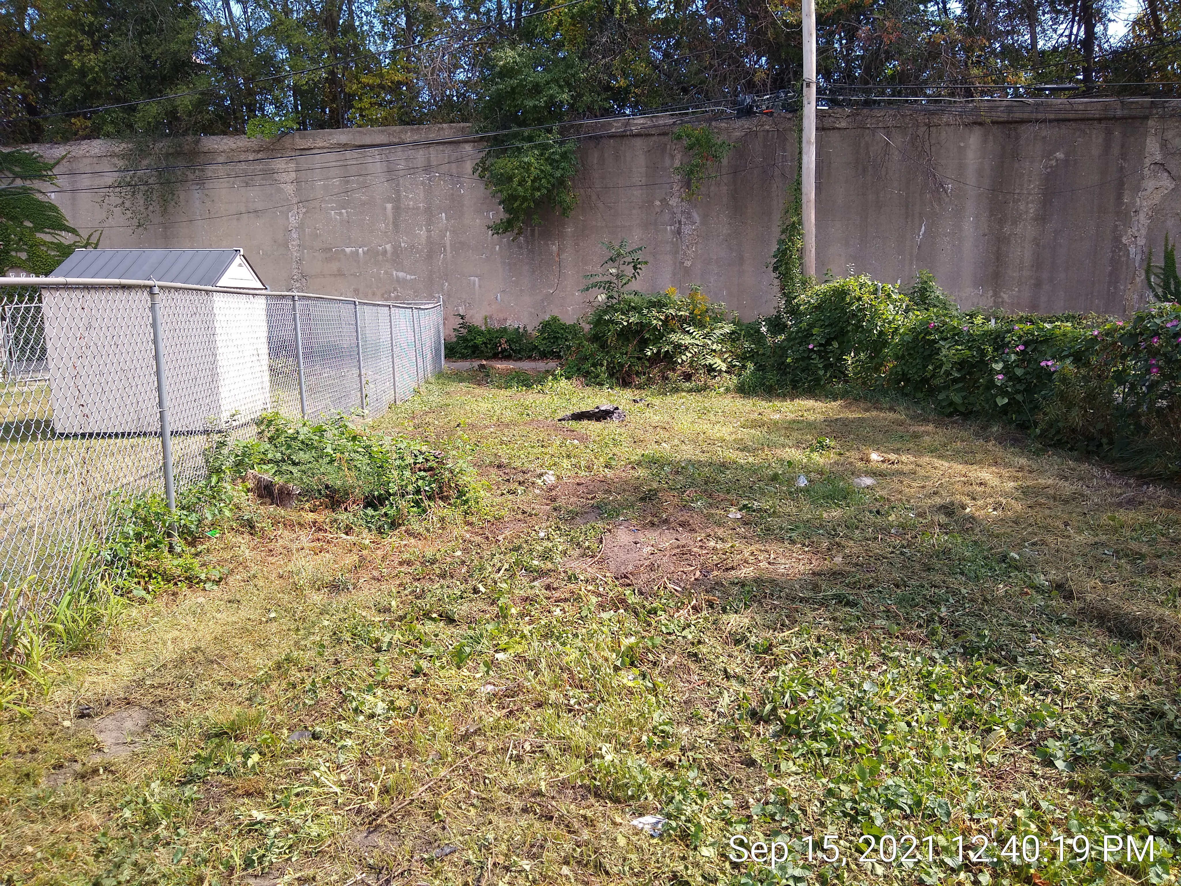 8223 S Emerald Ave photo