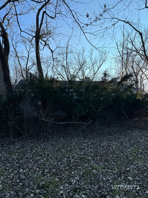 4247 Polk Ave photo