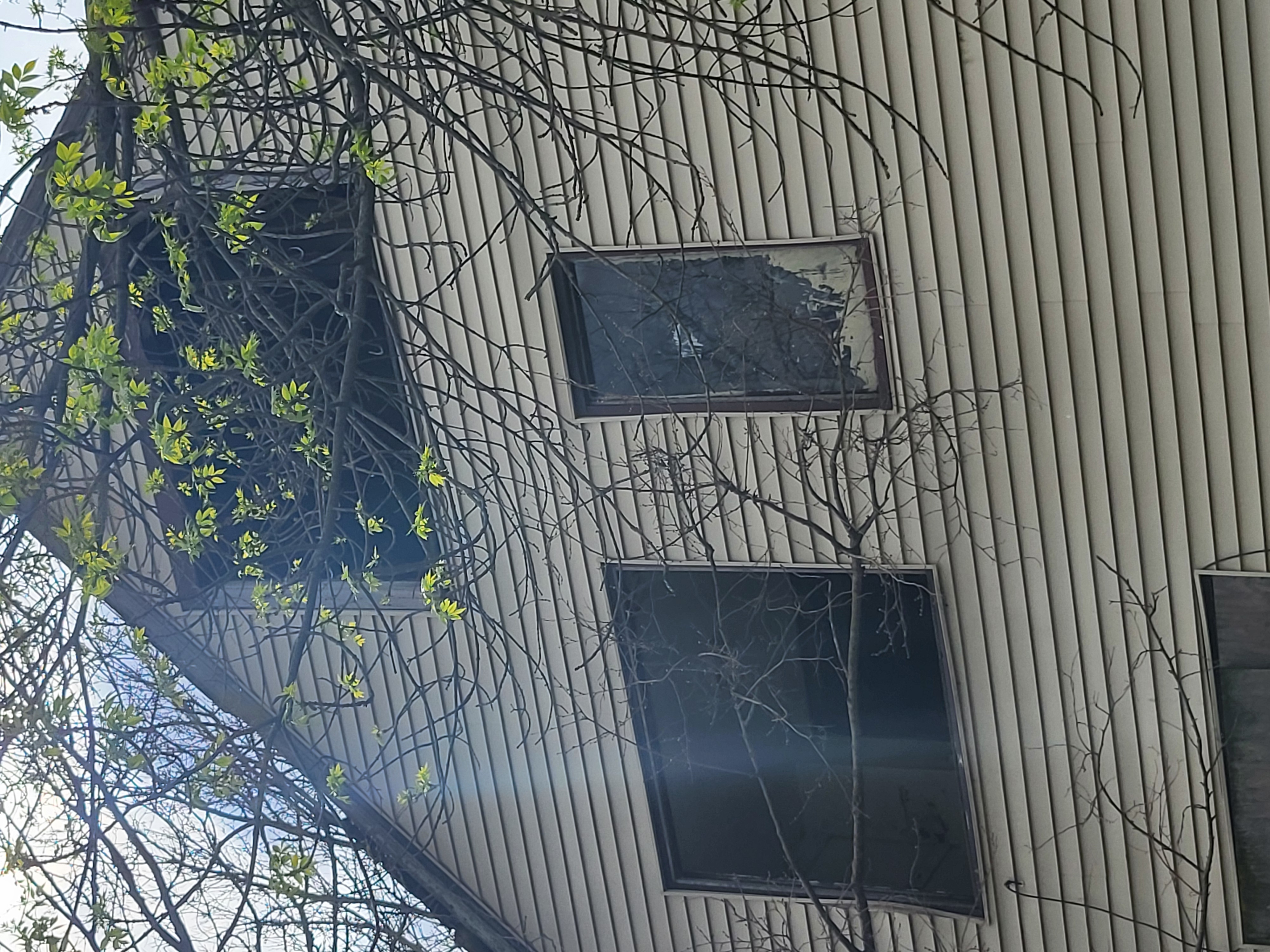 10501 S State St photo