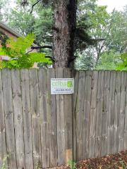 11336 S PRINCETON AVE, Chicago, IL