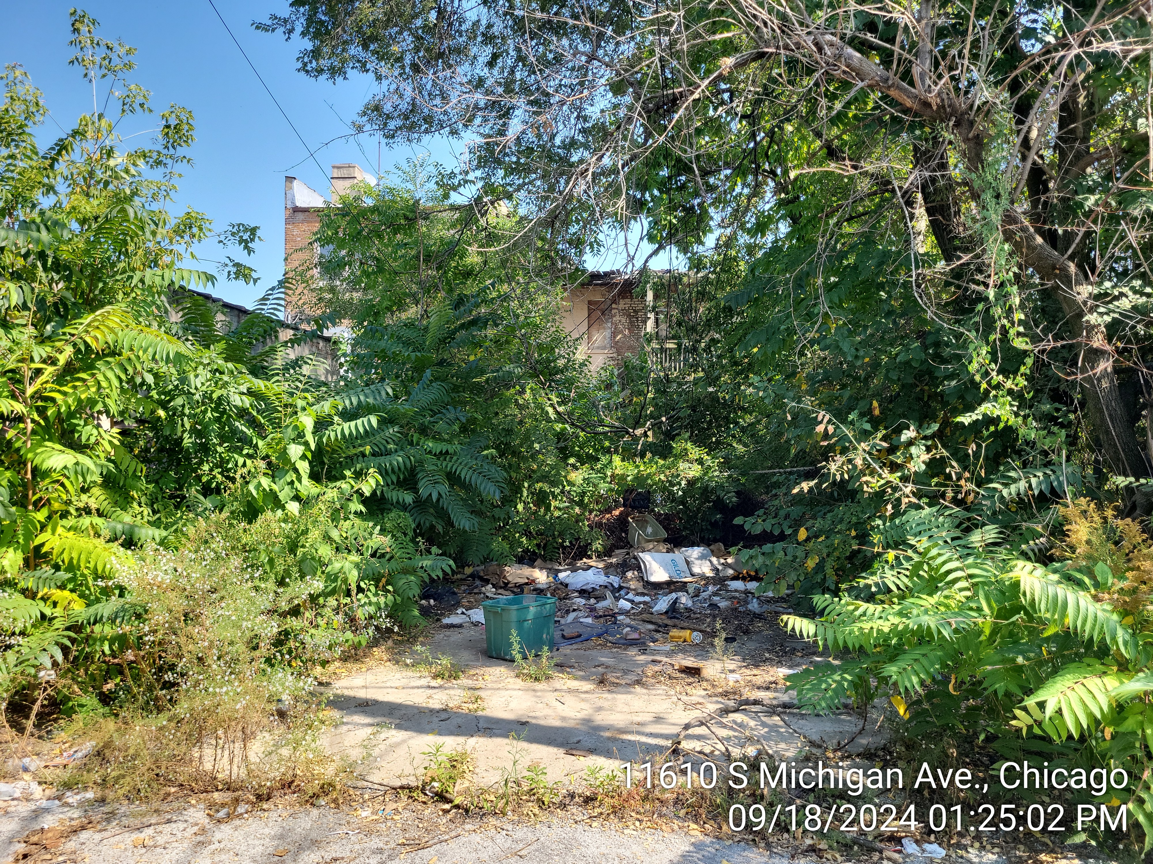11610 S Michigan Ave photo