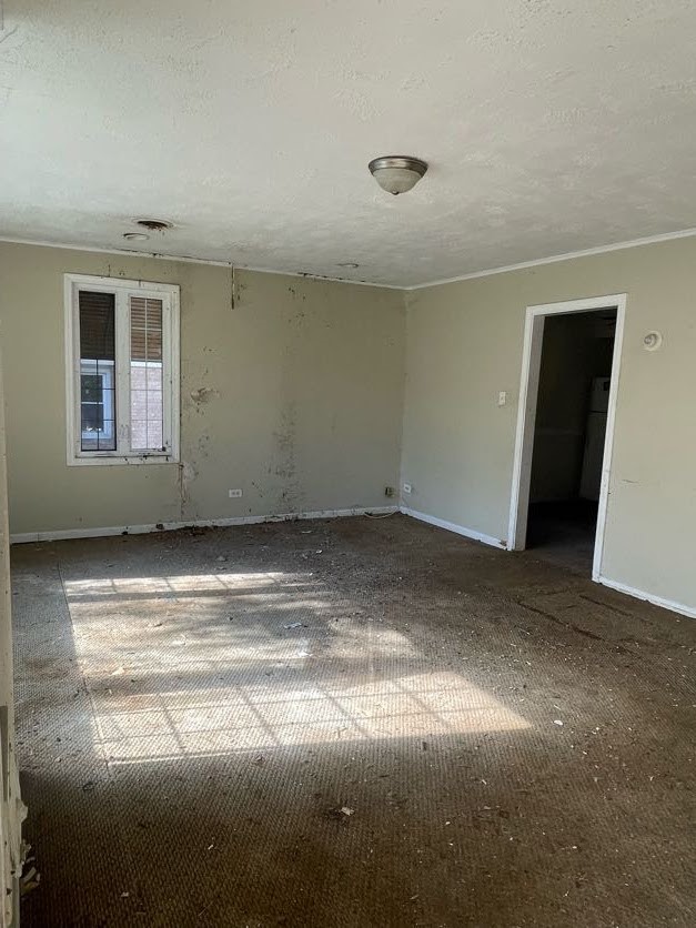 338 Oswego St photo