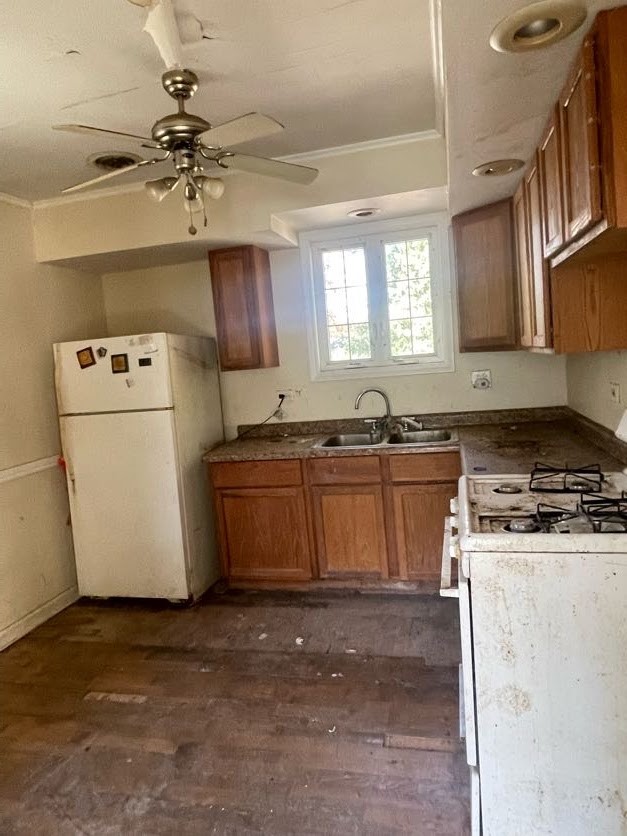 338 Oswego St photo