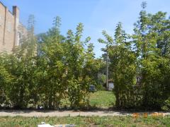 740 N SAINT LOUIS AVE, Chicago, IL