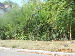 7116 S YALE AVE, Chicago, IL