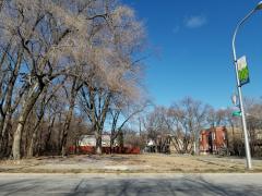 934 W 119TH ST, Chicago, IL