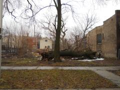 439 N AVERS AVE, Chicago, IL