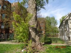 7824 S INGLESIDE AVE, Chicago, IL